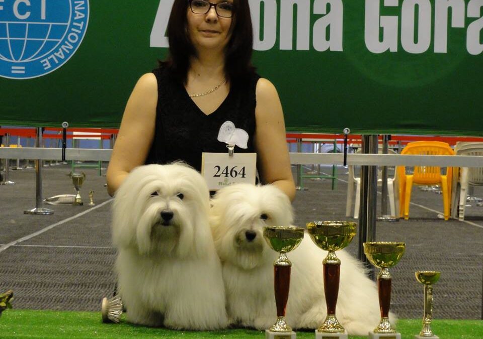 International Dog Show Zielona Góra 2016
