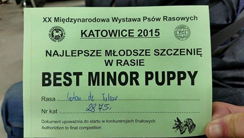 International Dog Show Katowice 2015