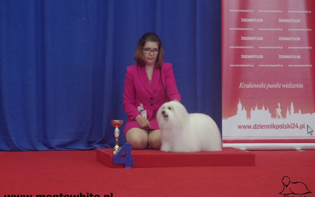 International Dog Show CACIB Kraków